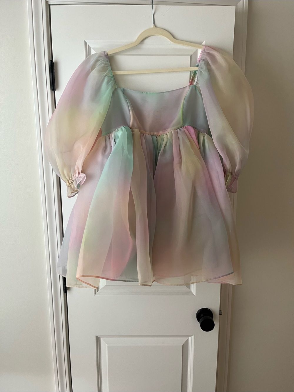 Pastel Multi-Color Sheer Puff-Sleeve Organza Blouse - Women